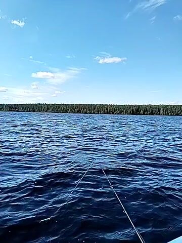 The video shows a view from a boat on a body of water. The water is dark blue and appears choppy with small waves. A fishing rod is visible, extending from the boat into the water. In the background, a dense line of green trees forms a horizon across the water. The sky is a clear blue with scattered white clouds. The boat appears to be made of a light-colored material with blue trim. Part of a wooden bench or seat is visible inside the boat. The camera angle suggests the boat is moving forward.