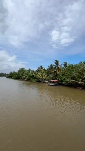 The video shows a wide, muddy river with a gentle current. The riverbank on the right side is lined with lush green trees, including palm trees. A small structure with a red roof is visible on the riverbank, possibly a house or a small business. The sky is partly cloudy with blue patches. The video is shot from a fixed position, likely from a boat or bridge, looking towards the riverbank and the sky. There are no people or animals visible in the video. The overall scene depicts a tranquil, tropical landscape.