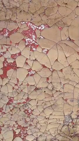 The video shows a close-up, top-down view of a textured surface with a cracked and peeling paint finish. The surface appears to be a light tan or beige color with a bright red layer visible beneath where the paint has chipped away. The cracks form an intricate network of irregular polygons across the entire frame. The lighting is even, and there are no discernible shadows, suggesting an overhead light source or diffused ambient light. No people or objects are visible, and the focus remains exclusively on the surface texture. The camera movement is minimal, with slight, slow panning or tilting motions that primarily serve to reveal the full extent of the cracked paint. The overall impression is one of decay and age, highlighting the natural deterioration of the painted surface.