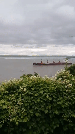 Red cargo ship passes by a foliage-framed waterway