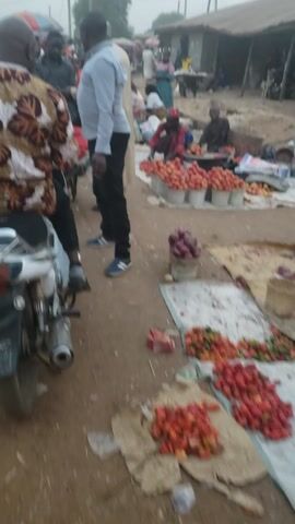 The video depicts a bustling outdoor market or street scene in what appears to be Kaduna South, Nigeria. Numerous people, including men and women, are seen walking, standing, and interacting. The ground is dirt or mud, suggesting a non-paved surface or recent dampness. In the initial frames, a person is visible on a motorcycle, and another individual in a patterned shirt is seated, possibly on another motorcycle.

The scene is characterized by typical market activity, with individuals moving between various stalls and vendors, although specific goods are not clearly identifiable due to the distance and motion. Some people are carrying bags or items, consistent with shopping or commuting. Power poles and overhead wires are visible in the background, indicating urban or semi-urban infrastructure.

The lighting is overcast or hazy, suggesting either an early morning, late afternoon, or a generally cloudy day. No strong emotions are overtly displayed by the subjects. The video captures a snapshot of daily life and commerce in a busy local environment. There is no visible text.