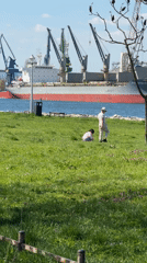 Everyday moments captured across Varna, Bulgaria during sunny afternoon