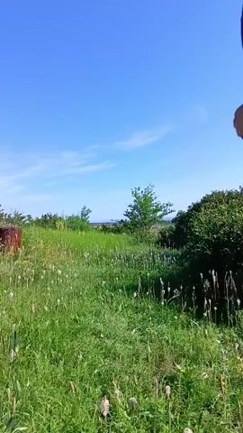 The video shows a person running through a grassy field under a clear blue sky. The person is wearing black athletic clothing, including leggings and a long-sleeved top with a green design on the back. The person's hair is pulled up in a bun. The field is covered in green grass and some small white flowers. In the background, there are trees and bushes, and a hint of a distant landscape. The camera follows the person from behind as they run away from the viewer.