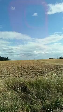 The video begins with a view of a dry, harvested field under a blue sky with scattered clouds. A plant with dried seed heads is in the foreground. The camera then pans to show a line of trees in the distance and a car's side mirror. The perspective shifts to inside the car, showing the windshield and dashboard. A clear plastic bag with a yellow ribbon is attached to the sun visor. A pink artificial rose is visible on the dashboard. A hand with red nail polish is holding a clear plastic bag filled with popcorn, which has a label featuring a Ferris wheel and carnival tents. The background outside the car shows a sunny day with green trees and fields.