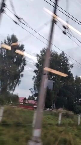 The video shows a view from a moving vehicle, likely a train, looking out a window. Overhead power lines are visible, running diagonally across the top of the frame. Below these, a blurry landscape unfolds. Tall, dark green trees dominate the middle ground, interspersed with patches of grassy fields and what appears to be a red-roofed building peeking through the foliage. The sky is overcast with grey clouds, tinged with hints of pink and orange, suggesting either dawn or dusk. Reflections on the window obscure parts of the scene and add a layer of abstraction. The overall impression is of a rural or semi-rural environment passing by.