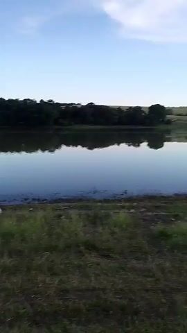 A wide shot captures a serene lake scene under a partly cloudy sky. The water, calm and reflective, mirrors the sky and the distant treeline. The shoreline is covered in a mixture of grass and darker, possibly muddier ground. Rolling hills, dotted with trees, form the background on the far side of the lake. The lighting suggests it is either early morning or late evening, with soft, diffused light. There are no visible people or distinct objects in the foreground or on the water. The overall impression is one of natural tranquility.
