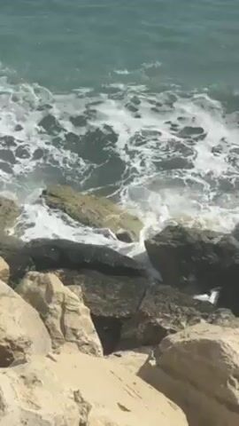 The video shows waves crashing against a rocky shoreline. The water is a greenish-blue color, and the waves are white with foam. The rocks are a mix of dark and light colors. The camera is static and focuses on the waves hitting the rocks. The scene is bright and sunny.