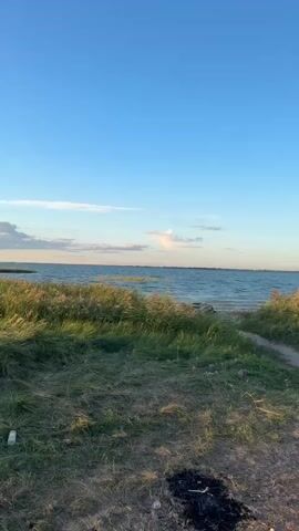 A body of water is visible under a clear blue sky. Tall grass and reeds line the shore. In the foreground, a dirt path leads towards the water. A makeshift campfire pit with burnt wood and scattered rocks is present. To the right of the path, a black bag or case sits amongst the grass. The overall scene suggests an outdoor, possibly secluded, location by the water, likely during daylight hours.