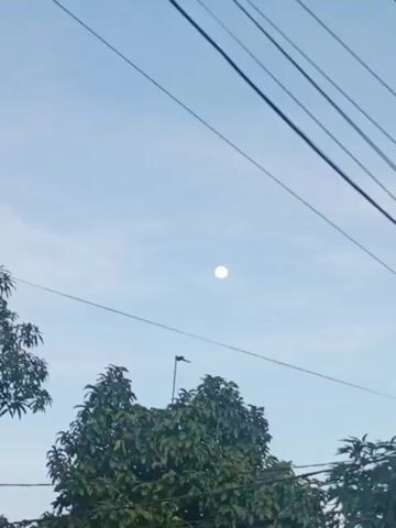 The video captures a clear, bright blue daytime sky in Batam, Indonesia, featuring a prominent, almost full moon. The moon appears as a brilliant white disc positioned centrally in the frame. In the foreground, the tops of several lush green trees with dense foliage are visible, along with dark, thin power lines or utility wires stretching horizontally and diagonally across the upper portion of the sky. A slender, dark structure, possibly an antenna or a distant pole, can be seen just above the trees. The camera maintains a relatively static shot, with a slight, subtle zoom towards the moon occurring between the 0:00 and 0:03 mark, enhancing its visibility against the daylight backdrop. There are no people or discernible text visible in the footage.