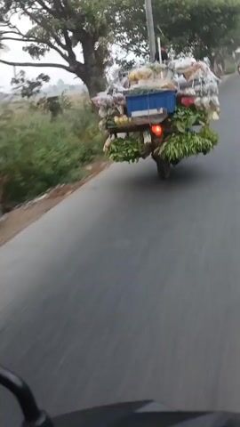 The video shows a side-view of a three-wheeled vehicle, likely a motorcycle with a sidecar or a small cart, heavily laden with produce. The vehicle is in motion on a paved road, with a blurred background suggesting movement. The cargo appears to consist of numerous plastic bags filled with vegetables and fruits, stacked high on the rear of the vehicle. A blue plastic crate is visible amidst the produce. Green leafy vegetables are prominently displayed at the front and sides of the load. The environment appears to be rural or semi-rural, with trees and vegetation visible along the roadside. The lighting suggests it may be early morning or late afternoon. The camera angle indicates the video is shot from another moving vehicle, possibly a motorcycle, as a handlebar or mirror is partially visible at the bottom of the frame. The overall impression is of a vendor transporting a large quantity of goods, likely for sale.