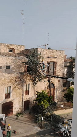 Tree trimming and street work underway in Bitonto, Italy