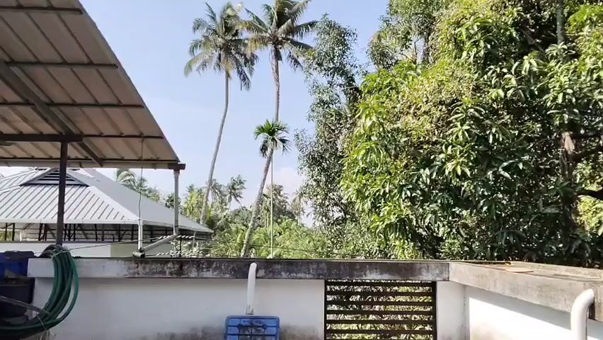 This is a video of a view from a balcony. In the foreground, there is a concrete ledge and railing. To the left, a portion of a metal roof structure is visible, supported by pillars. A green hose is coiled on the left side of the ledge. A blue plastic bin is on the ledge. To the right, there is a black metal fence. In the background, several tall coconut trees and other lush green foliage are visible under a clear blue sky. A white building with a pitched roof and a prominent skylight or ventilation feature is partially visible behind the roof structure on the left.