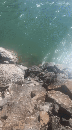 Waterfall footage captured near American Falls, Idaho