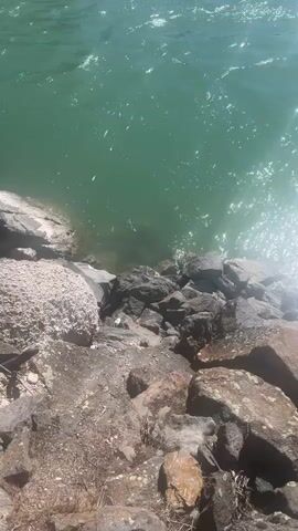 The video begins with a close-up view of the water's edge, featuring rocks and clear green water. The camera pans up to reveal a waterfall in the distance, situated near a dark, possibly abandoned, building. The sun is shining brightly, creating a glare on the water's surface. The waterfall cascades over rocks into the river. The environment suggests an outdoor, natural setting.