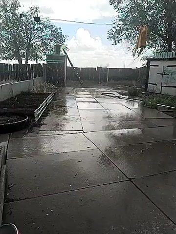 A backyard scene during a rain shower. A paved area with large concrete squares is wet and reflective. A raised garden bed filled with soil is to the left. A wooden fence runs along the back of the property, with trees visible beyond it. A small outbuilding or shed is on the right. Rain is visible falling, creating ripples on the wet surfaces. The sky is cloudy.