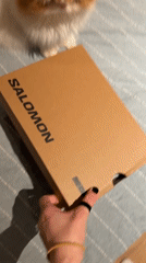 Person unboxes new Salomon shoes with cat watching