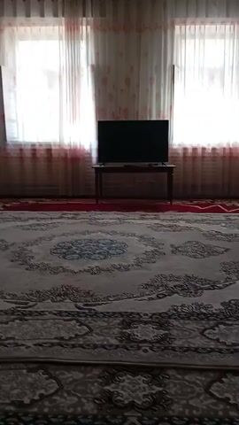 A room is viewed from a low angle, looking towards a wall with two windows. The windows are covered by sheer curtains with a pink floral pattern. In front of the windows is a dark-colored television set on a wooden stand. A large, patterned rug covers the floor, with the camera positioned on the rug.