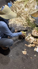 Vietnamese street food scenes documented across Binh Thuan wards