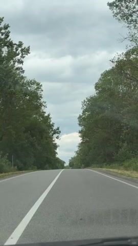 A first-person perspective shot from inside a car driving down a two-lane road lined with trees on either side. The sky is overcast with some clouds. The road has a white line down the center. Two cars are visible in the distance ahead, and another car is approaching from the opposite direction. The shot is slightly shaky, suggesting movement.