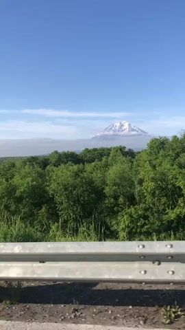 The video shows a view from a moving vehicle of a snow-capped mountain rising above a dense green forest under a clear blue sky with scattered clouds. A metal guardrail is visible in the foreground, partially obscuring the view of the roadside. The footage is shaky, indicating movement.