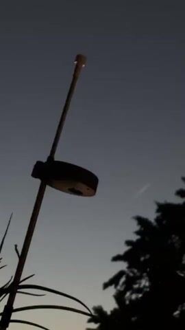 A street light is silhouetted against a twilight sky with a faint airplane contrail. The camera angle is low, looking up at the street light and trees. The contrail appears as a thin, white line stretching across the sky to the right of the street light. The lower part of the frame shows the dark silhouettes of some plants. The street light itself is a dark, circular object with a thin pole extending upwards, topped with a small light.