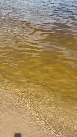 The video shows a close-up view of shallow, murky yellow water with gentle waves lapping against a sandy beach. The sun is shining, casting dappled light on the water's surface, suggesting it is daytime. The water appears to be from a lake or a slow-moving river, given its calmness and color. There are no people or specific objects clearly visible, except for a shadow at the bottom left corner that could be from a person or an object on the beach. The scene evokes a sense of tranquility and natural beauty. The setting is Lyutizh, Ukraine.