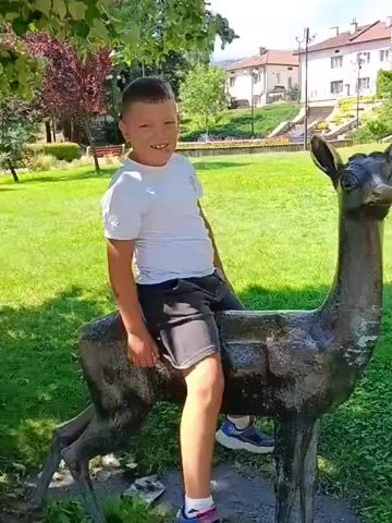 A boy sits on a statue of a deer in a park. The boy is wearing a white t-shirt and black shorts. He is smiling at the camera. In the background, there are trees, grass, and buildings. The video then pans to show a dog running on a paved path. The dog is brown and white. The path is surrounded by grass and trees. The video continues to show the park as it pans across the landscape.