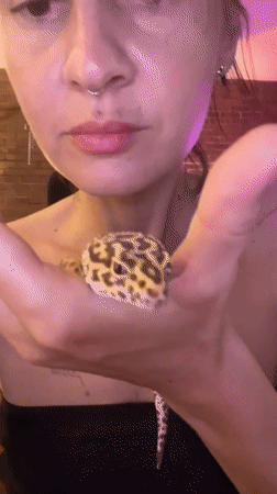 Woman holds leopard gecko in North Kuta, Indonesia
