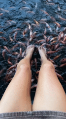 Woman fishes from concrete ledge above school of fish