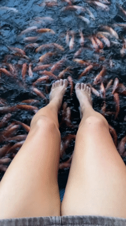 Woman fishes from concrete ledge above school of fish