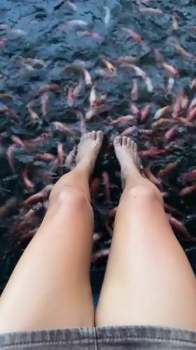Woman fishes from concrete ledge above school of fish