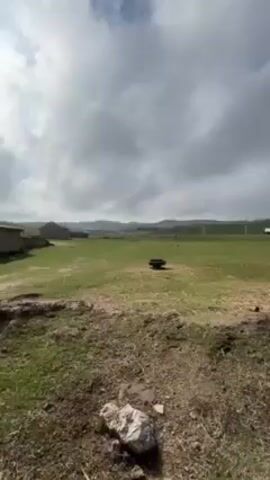 The video shows a green grassy field in a rural area, under a cloudy sky.  In the distance, there are houses and what appears to be a herd of cattle grazing. Closer to the camera, there is an old tire in the middle of the field, and a group of chickens, including a rooster, are pecking at the ground near the left side of the frame.  The camera zooms in slightly on the chickens.