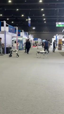 The video shows a wide-angle view of a convention or exhibition hall. The floor is carpeted in a light gray color. In the foreground, two robotic quadruped animals are visible. The robot on the left is white and black, with its front legs on wheels and its back legs extended. It is positioned at an angle, facing towards the left side of the frame. The robot on the right is also white and black, with all four legs extended in a walking pose. It is positioned further to the right and slightly behind the first robot, facing towards the right side of the frame.

In the middle ground and background, several people are walking around. Most are dressed in casual or business attire. They are dispersed throughout the hall, with some individuals gathered near exhibition booths. The booths are set up with white walls and signage, some featuring logos and text in various colors. The lighting in the hall appears to be artificial, with overhead lights illuminating the space. The ceiling is high and dark, with visible structural elements and hanging banners. The overall atmosphere suggests a public event or trade show.