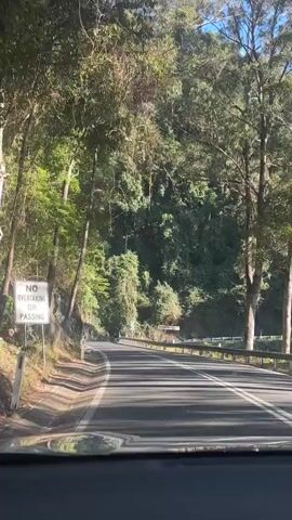 The video shows a POV from a vehicle driving on a paved road that curves to the left. The road is flanked by a dense forest on the right and a steep, rocky incline on the left. Sunlight filters through the trees, casting shadows on the road. There are guardrails along the right side of the road, and a few traffic signs are visible. The sky is clear and blue. The overall atmosphere is serene and natural.