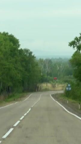 The video shows a view of a winding paved road through a forest. The road has white lines marking the edges and dashed lines down the center. On the right side of the road, there is a blue sign with white symbols indicating a rest area and a telephone. Further in the distance, beyond a field of tall grass and some trees, a red structure is visible. The sky is overcast, and the overall environment suggests a rural or countryside location.
