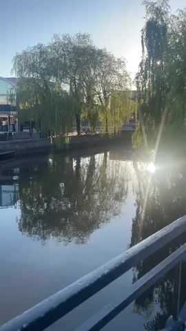 The video shows a tranquil canal scene on a clear day. A building with a modern arched design and multiple storefronts lines the canal, with outdoor seating available. The water reflects the buildings and the surrounding greenery, including a willow tree whose branches hang towards the water. A person is briefly seen bending down near the bridge. The camera pans slightly, offering different perspectives of the buildings, bridge, and reflections on the water.
