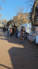 Street market draws shoppers, boba tea buyers in Varna
