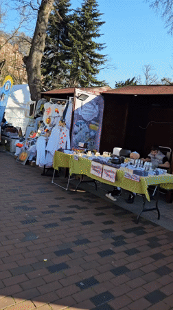 Street market draws shoppers, boba tea buyers in Varna