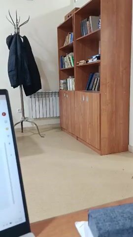 The video displays a laptop screen showing a Collective Memory login page with the code 774085. A Gmail window is also open, revealing messages written in a Cyrillic alphabet language. The laptop rests on a wooden desk. In the background, a coat hangs on a silver coat rack next to a radiator. To the right, there are two wooden bookshelves filled with books. The room has pale yellow walls and flooring.