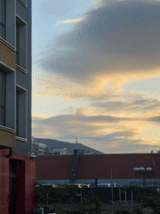 Sofia residents document ordinary moments during afternoon hours