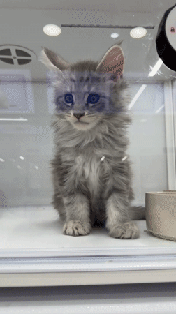 Two women in matching outfits spotted on Jinjiang District street