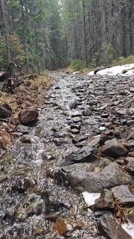 The camera looks up a rocky, forested path. A shallow stream of water trickles down the path in the center of the frame. To the left, the earth is covered with dark, wet rocks and dead grasses. To the right, similar rocks lead up to a patch of melting snow.  The path leads into a forest of closely spaced, mostly bare trees, suggesting a wintry or early spring setting.  The lighting is dim, indicating an overcast day. There are no people visible.