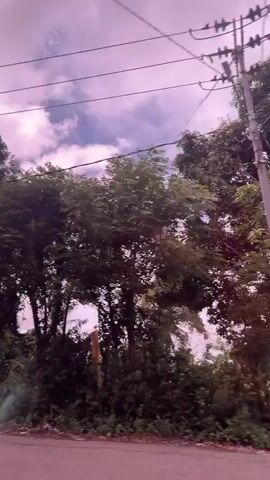 A video shows a view from a vehicle as it drives past buildings and trees. The sky is filled with pink and purple clouds, and power lines run across the frame. There are several signs visible, including a convex mirror and a yellow arrow sign indicating a curve in the road. One building appears to be a medical facility with signage in an unknown language. Another building has a blue-green roof and several windows. The video appears to be taken during the daytime, possibly at dusk or dawn, due to the unusual sky colors.
