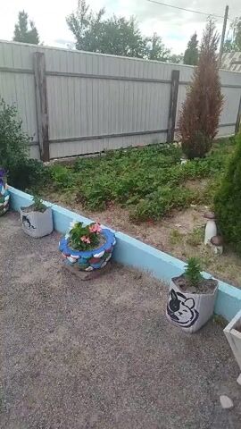 The video shows an outdoor scene with a gravel path and a garden area enclosed by a gray wooden fence. Several potted plants are visible along the edge of the garden. One planter is a colorful, circular pot decorated with various colored rocks. Another planter is a gray, rectangular pot with a painted black cat design. A small gnome figurine with a purple hat stands near the garden bed. The garden itself contains a variety of plants, including what appear to be strawberries, bushes, and flowering plants with white and pink blossoms. There is also a rose bush with red roses and a tall sunflower-like plant. The sky is overcast.