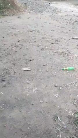A grainy video shows a dirt road with sparse vegetation and debris. Two chickens are visible in the distance, walking away from the camera. A green plastic bottle lies on the ground to the right of the frame. The scene appears to be outdoors in a rural or unpaved area.