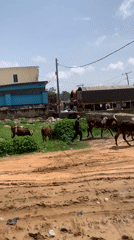 Morning commercial activity documented in Gura Top, Nigeria