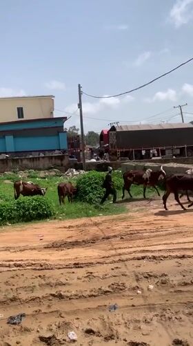 Morning commercial activity documented in Gura Top, Nigeria