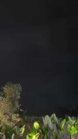 The video shows a dark night scene. In the foreground are various green plants, some possibly banana plants, with a small tree to the left. The background is dominated by a dark sky filled with clouds. No people are visible. The sound of thunder can be heard.