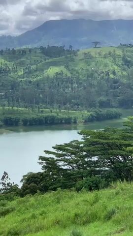 A drone flies over a vast green landscape dotted with trees and hills, a lake in the middle. The sky is cloudy.