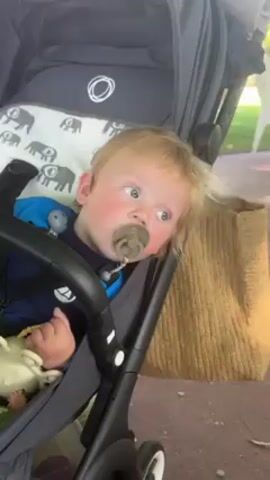The video shows a baby in a stroller with a pacifier and a stuffed animal. The stroller is parked next to an outdoor table. A woman is sitting at the table, looking at her phone. There is a drink with a straw, a water bottle, and a child's cup on the table. A boy is also sitting at the table talking. The background shows a building, grass, and trees.